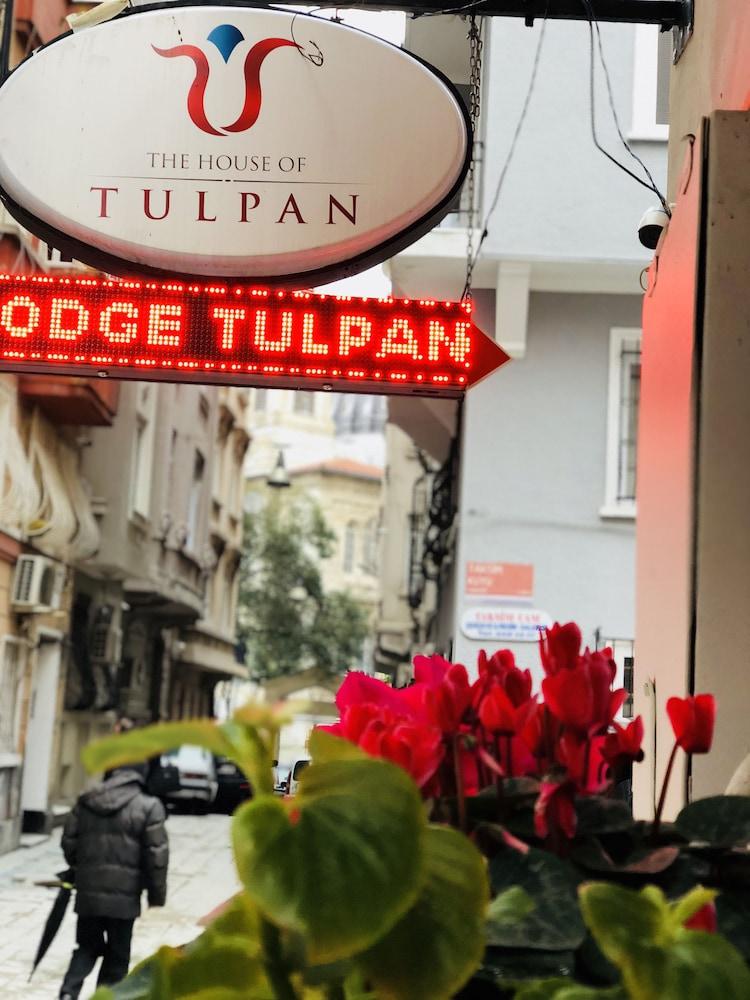 מלון איסטמבול The House Of Tulpan מראה חיצוני תמונה